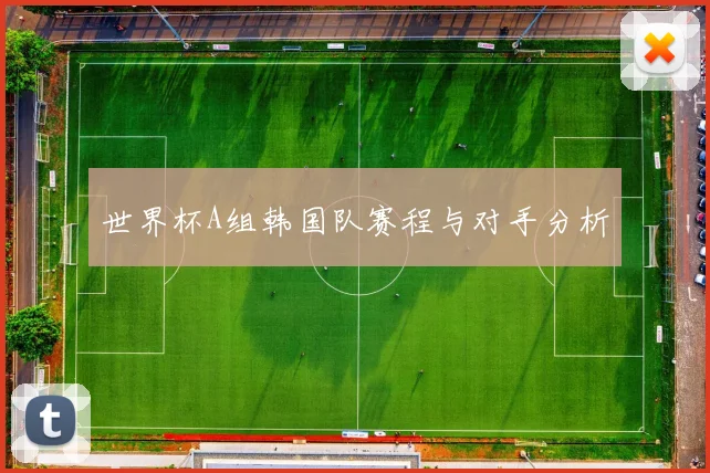 世界杯A组韩国队赛程与对手分析