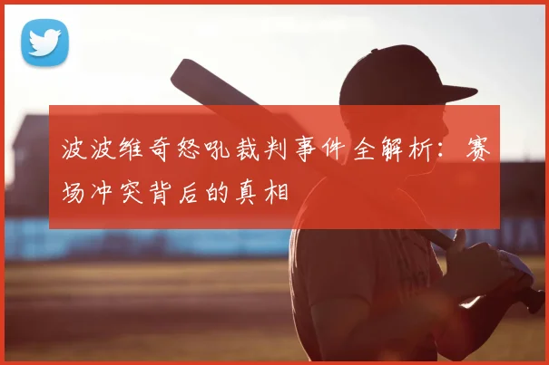 波波维奇怒吼裁判事件全解析:赛场冲突背后的真相
