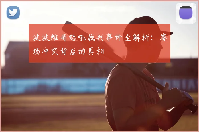 波波维奇怒吼裁判事件全解析：赛场冲突背后的真相